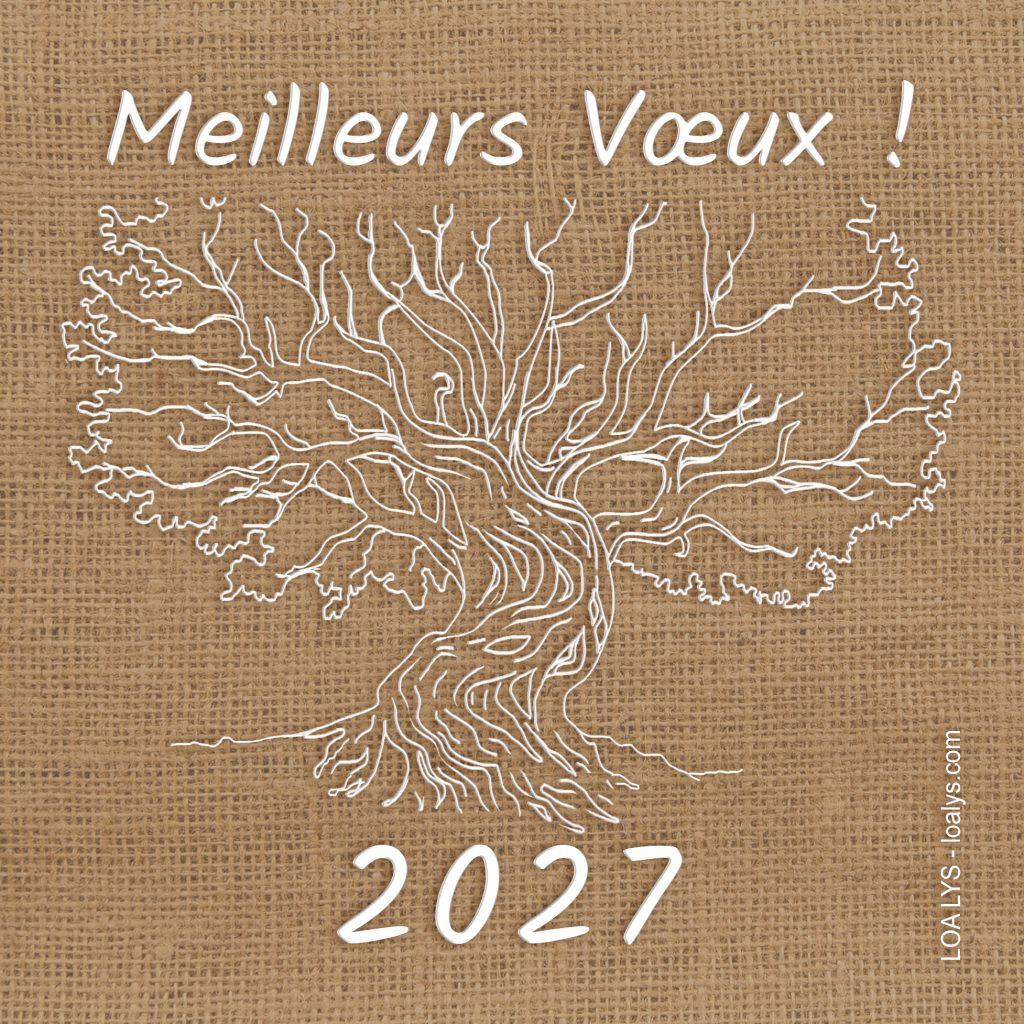 CARTE DE VOEUX 2027
